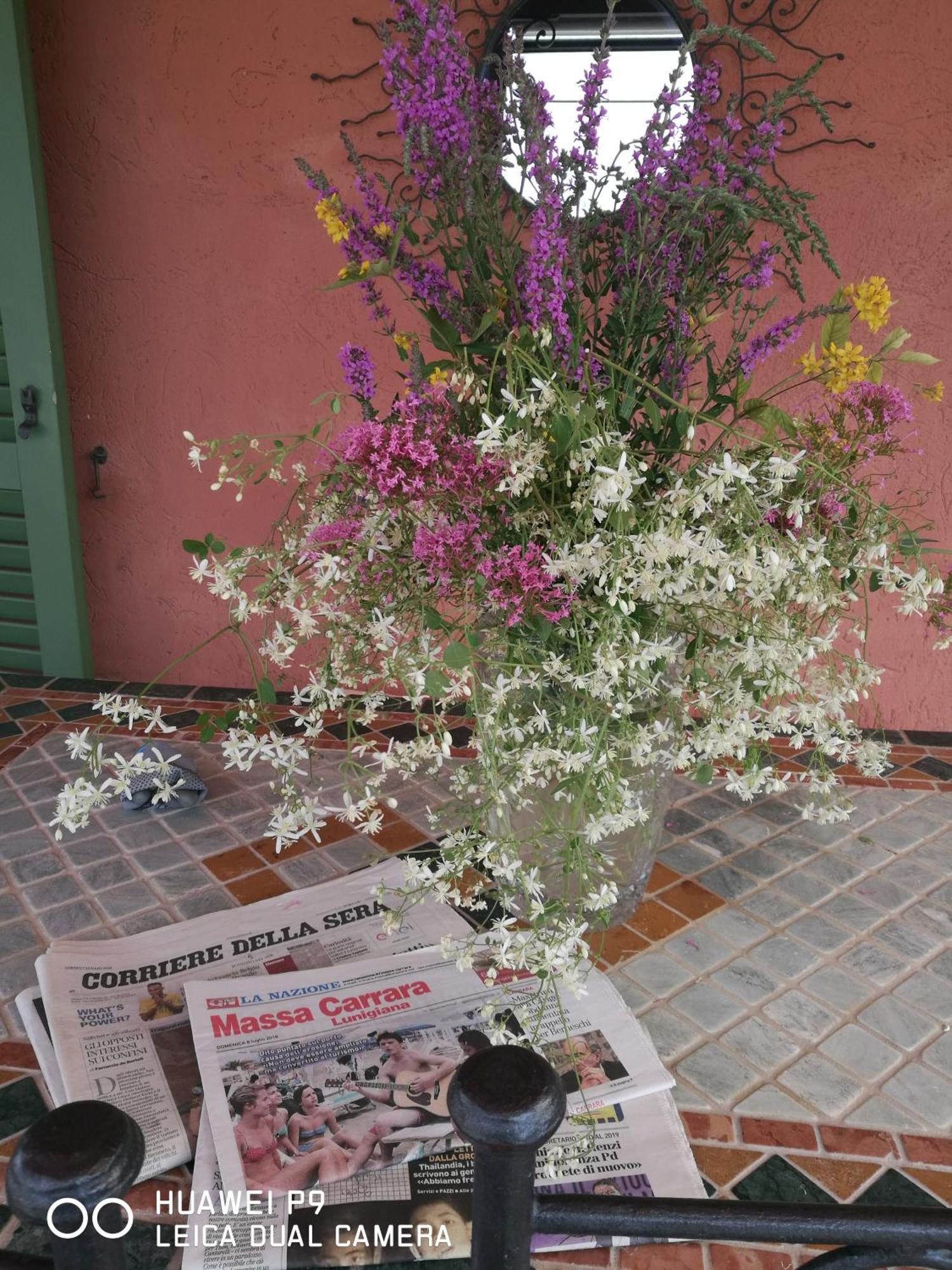 Giusy Bed And Breakfast Marina Di Carrara Exterior photo
