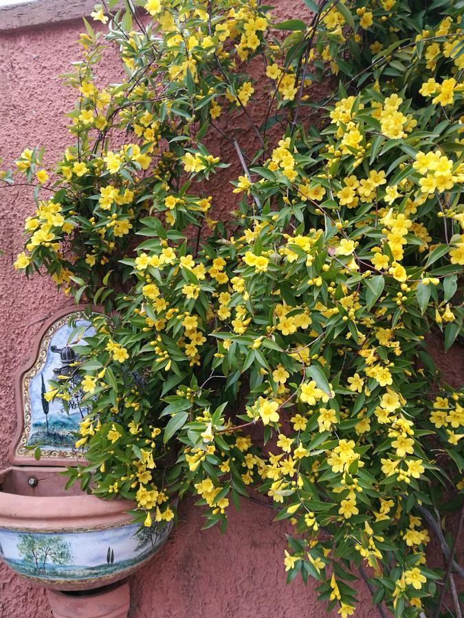Giusy Bed And Breakfast Marina Di Carrara Exterior photo